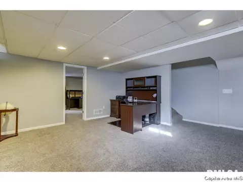 412 E Lynwood Dr, Athens, IL 62613 photo 22