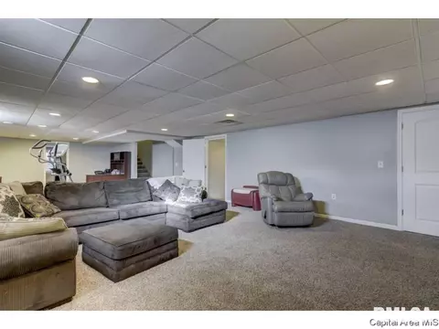 412 E Lynwood Dr, Athens, IL 62613 photo 31