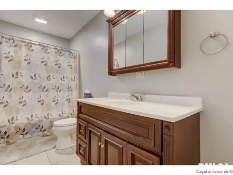 412 E Lynwood Dr, Athens, IL 62613 photo 16