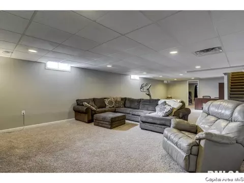 412 E Lynwood Dr, Athens, IL 62613 photo 24