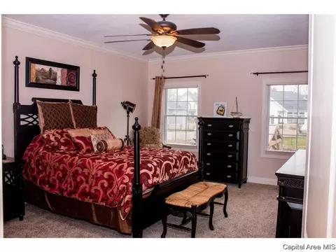 1400 Lake Pointe Crt, Springfield, IL 62712 photo 13