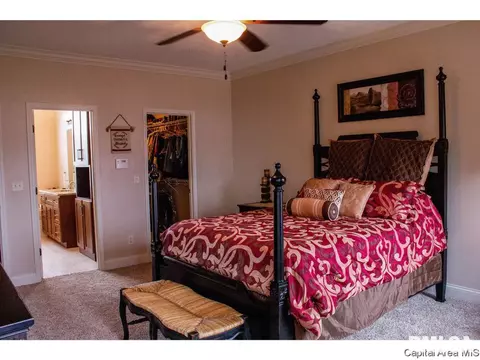1400 Lake Pointe Crt, Springfield, IL 62712 photo 14
