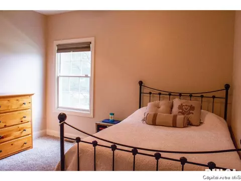 1400 Lake Pointe Crt, Springfield, IL 62712 photo 33