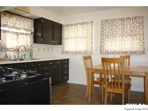 217 N Daniel Ave, Springfield, IL 62702 photo 5