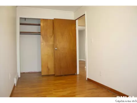 217 N Daniel Ave, Springfield, IL 62702 photo 12