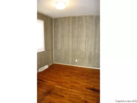 217 N Daniel Ave, Springfield, IL 62702 photo 13