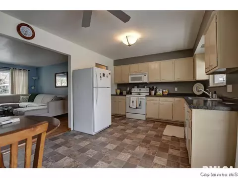 317 Kenyon Dr, Springfield, IL 62704 photo 11