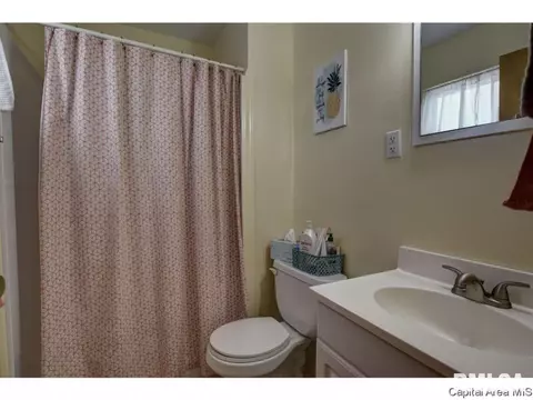 317 Kenyon Dr, Springfield, IL 62704 photo 19