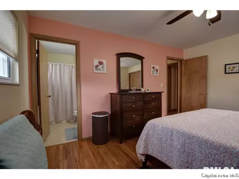 317 Kenyon Dr, Springfield, IL 62704 photo 15