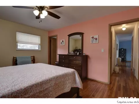 317 Kenyon Dr, Springfield, IL 62704 photo 14