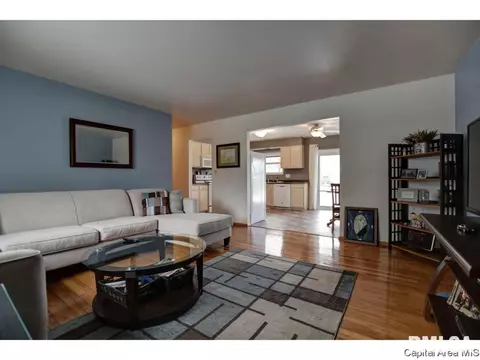 317 Kenyon Dr, Springfield, IL 62704 photo 7