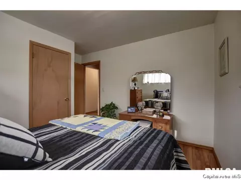 317 Kenyon Dr, Springfield, IL 62704 photo 23