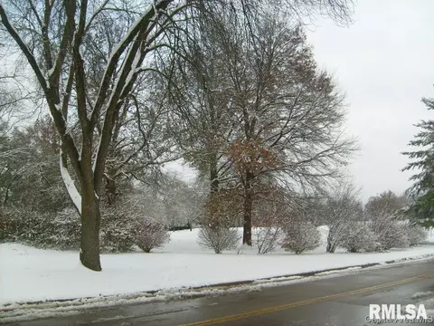 2315 S 15th St, Springfield, IL 62703 photo 26