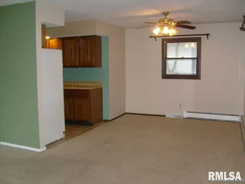 2315 S 15th St, Springfield, IL 62703 photo 9