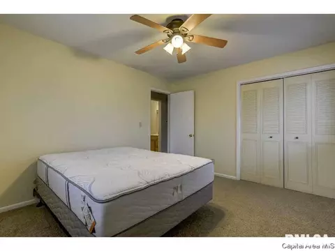 477 S Durkin, Springfield, IL 62704 photo 16