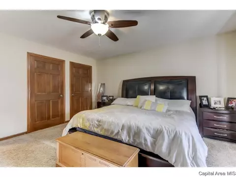 3724 Indian Grass Ln, Springfield, IL 62712 photo 16