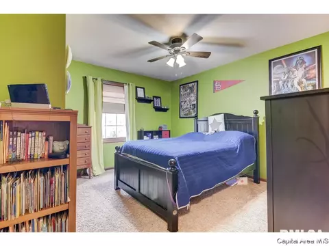3724 Indian Grass Ln, Springfield, IL 62712 photo 19