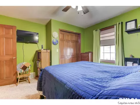3724 Indian Grass Ln, Springfield, IL 62712 photo 20