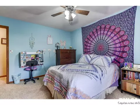 3724 Indian Grass Ln, Springfield, IL 62712 photo 23