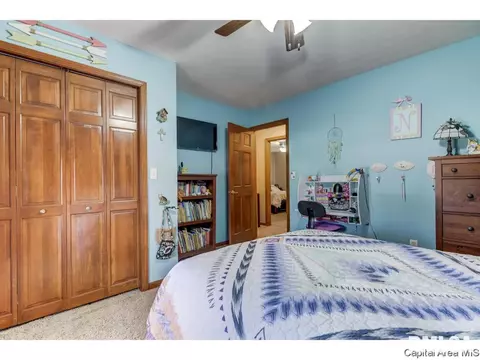 3724 Indian Grass Ln, Springfield, IL 62712 photo 24