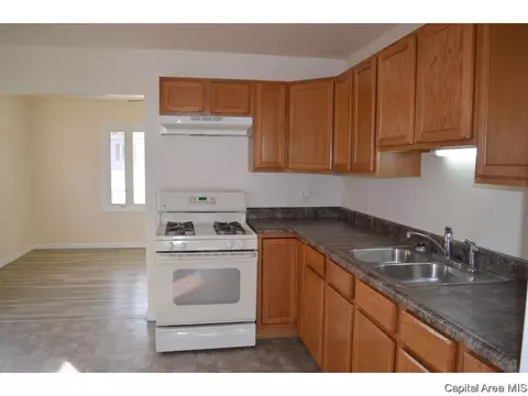 35 Lilac Ln, Springfield, IL 62702 photo 15