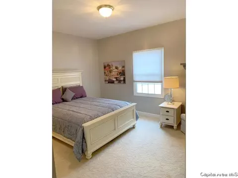 2501 Sage, Springfield, IL 62711 photo 29