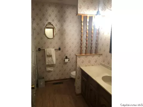 304 Willow Dr, Winchester, IL 62694 photo 9