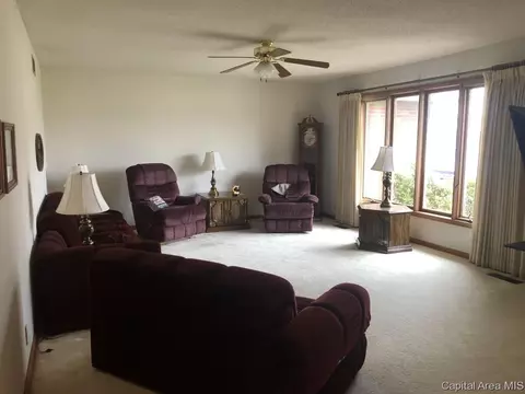 304 Willow Dr, Winchester, IL 62694 photo 3