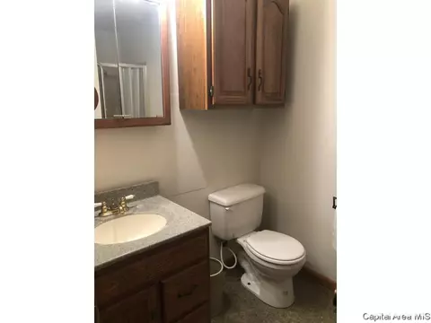 304 Willow Dr, Winchester, IL 62694 photo 14