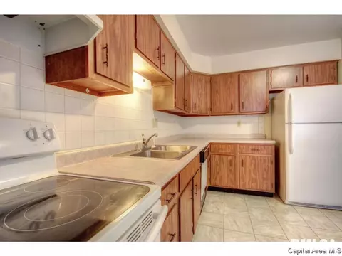 3122 Concord Dr, Springfield, IL 62704 photo 28