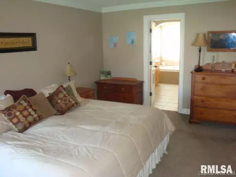 2009 Hidden Mill Dr, Springfield, IL 62711 photo 13