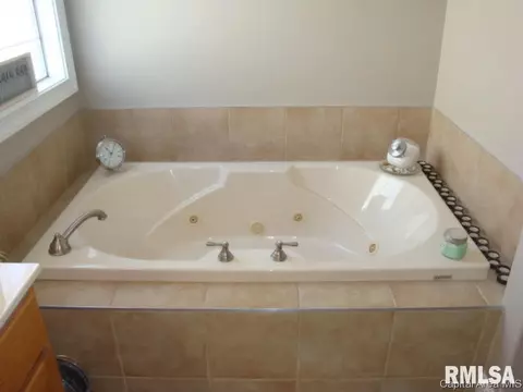 2009 Hidden Mill Dr, Springfield, IL 62711 photo 15