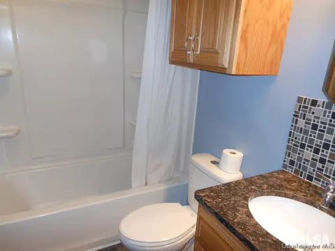 1237 N 2nd Street St, Springfield, IL 62702 photo 14