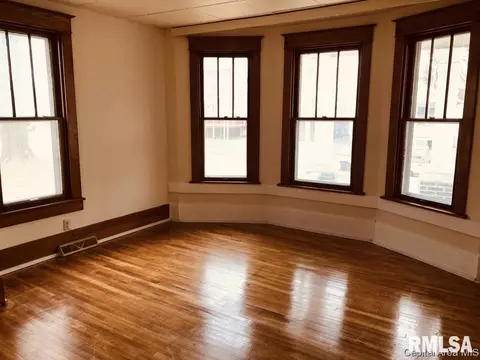 1009 Percy Ave, Springfield, IL 62702 photo 9