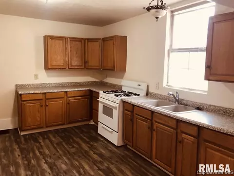 1009 Percy Ave, Springfield, IL 62702 photo 12