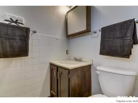 45 Coachlight Ct, Springfield, IL 62703 photo 28