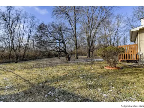 45 Coachlight Ct, Springfield, IL 62703 photo 6
