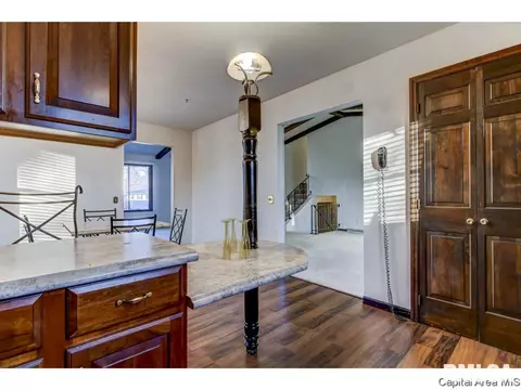 45 Coachlight Ct, Springfield, IL 62703 photo 20