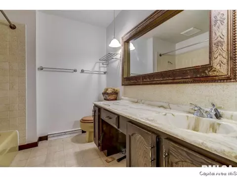45 Coachlight Ct, Springfield, IL 62703 photo 21