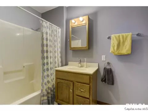 4044 Thornbrook Dr, Springfield, IL 62711 photo 19