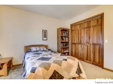 205 N Natchez Trce, Springfield, IL 62711 photo 22