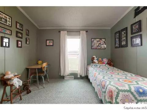 6780 N Hammack Rd, Ipava, IL 61441 photo 23