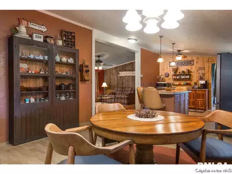 6780 N Hammack Rd, Ipava, IL 61441 photo 9
