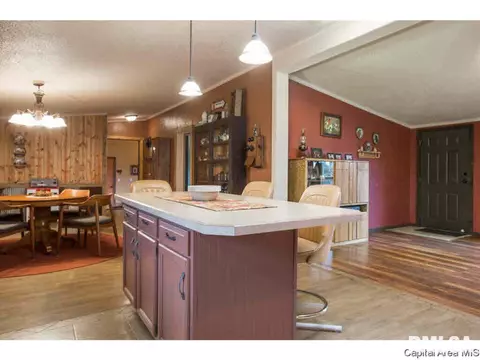 6780 N Hammack Rd, Ipava, IL 61441 photo 16