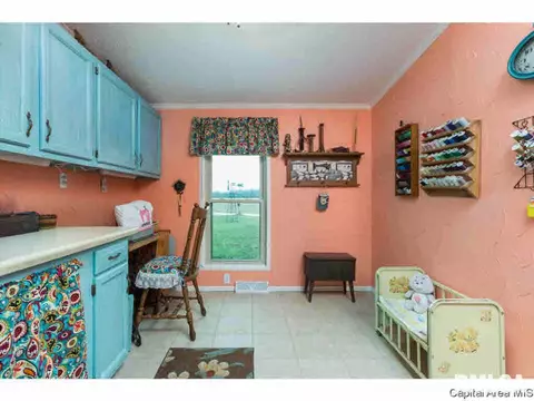 6780 N Hammack Rd, Ipava, IL 61441 photo 24