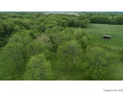 6780 N Hammack Rd, Ipava, IL 61441 photo 32