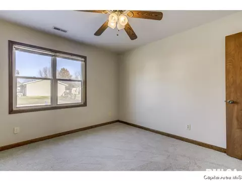 413 E Madison St, Auburn, IL 62615 photo 23