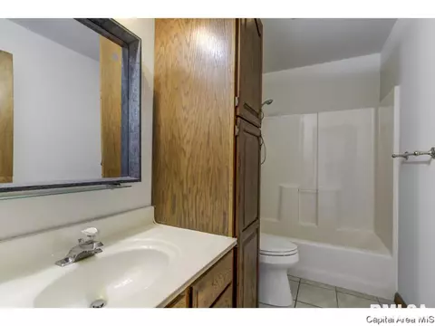 413 E Madison St, Auburn, IL 62615 photo 25