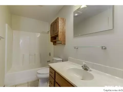 413 E Madison St, Auburn, IL 62615 photo 17