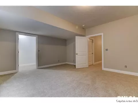 439 Maggie, Springfield, IL 62711 photo 20